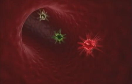 Three antibodies seen looking down inside of blood vessel