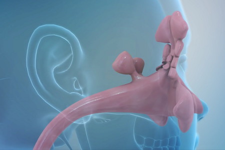 Transparent side view of sinuses draining into throat